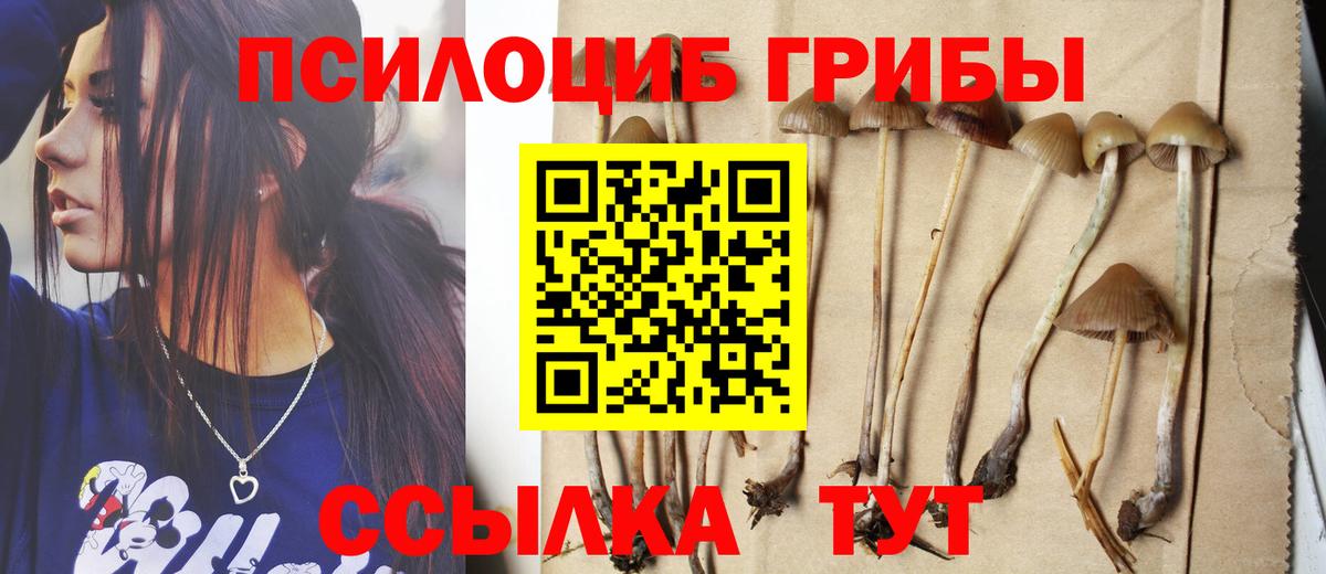 Галлюциногенные грибы мицелий Рассказово